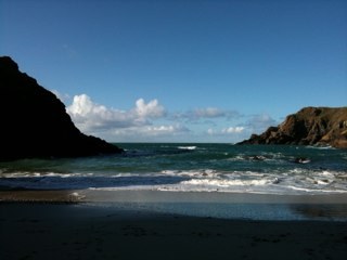 lattony99's profile picture. Share my time between Gods Own Country and Gods own County-Cardiff RFC and Pirates if there is any humour I have possibly stolen it!