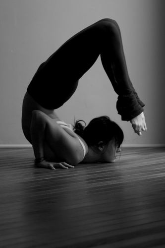 ashleyalbrand's profile picture. sacred heart fire keeper~ prana facilitator~ yogini/dancer & nature worshipper. Los Angeles based yoga instructor & professional hip hop dancer