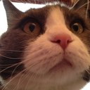 Jeanene Smith - @JeaneneSmith - Twitter