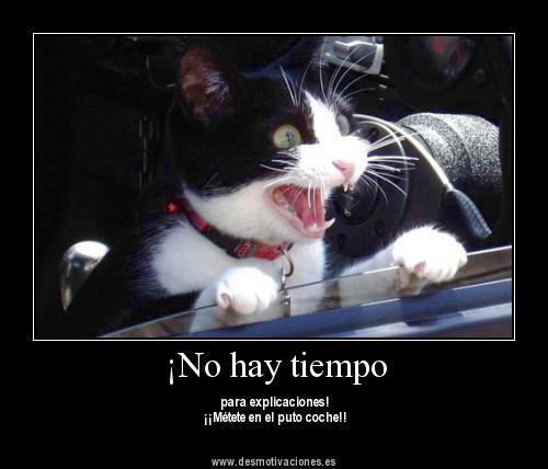 Marieli96's profile picture. 