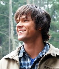 HotWinchester's profile picture. Sam Winchester, nothing to say you won't believe me i hunt down demons with @TornDean_ .