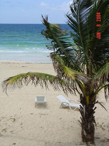 robebur's profile picture. Happily married and living in Maryland.