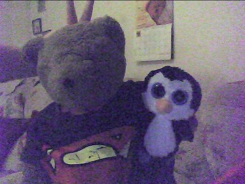 leymccann's profile picture. 