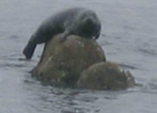 jpgeist's profile picture. Playwright and game designer based in Northern California.