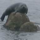 Jeremy Geist - @jpgeist - Twitter