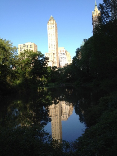 giuseppe_nyc's profile picture. 