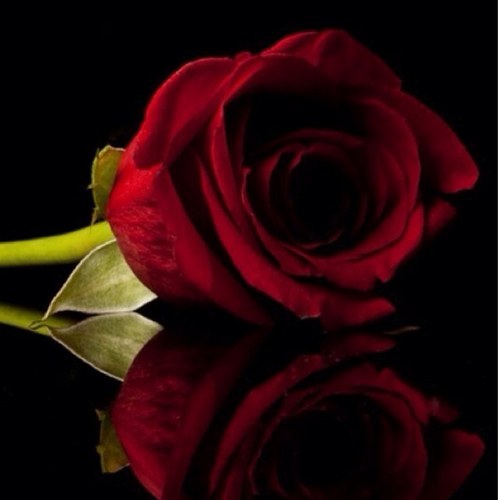 alinass80862639's profile picture. 