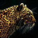 amr nasr - @amrnasr2 - Twitter