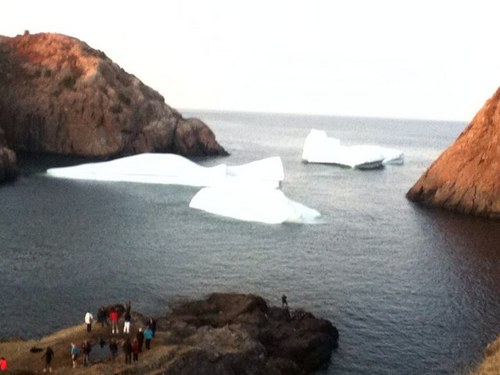 TYLER__444's profile picture. I try yet i fail most of the time. the rest of the time there epic fails.