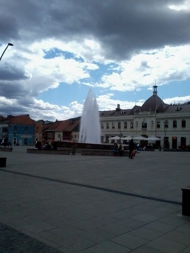 Emina_a's profile picture. #sustainability #smartcities #innovation #energy #environment #climatechange