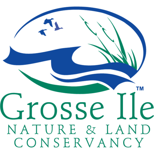 GINLC's profile picture. Grosse Ile Nature & Land Conservancy is a community 501c3 non-profit that protects land through acquisition or conservation easements & educational projects.