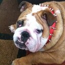 Daniel Fultz - @thedanofsteel81 - Twitter