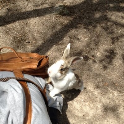 ゆか＊ (@x_yuka_x) / X