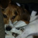 Jamie Rivas - @JamieRivas1 - Twitter