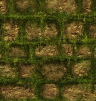 lolo75019's profile picture. 