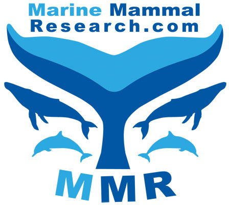 ausMMR's profile picture. Marine Mammal Research .com (MMR) is a collective of researchers & volunteers passionate about the marine environment.
Whales & Dolphins