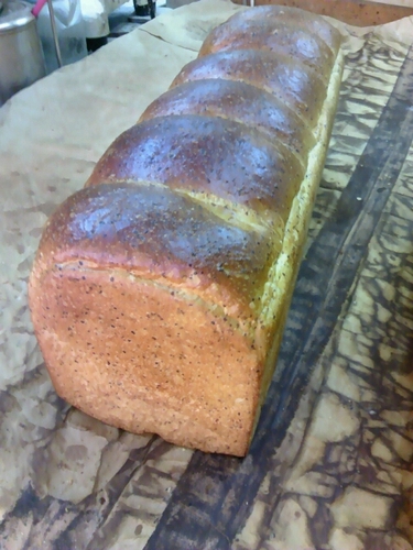 panbiyori's profile picture. ラジオ好きなおっちゃんです。
RNぽっちゃりでもリクエストしてます。　