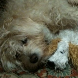 kimaygraham's profile picture. 