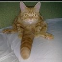 Judith Peltier - @JuGracee - Twitter