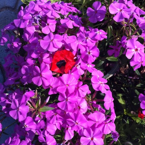 momo2010615's profile picture. 여행 좋ㅇㅏ