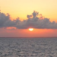 Mary M McCall (@mmcruise) 's Twitter Profile