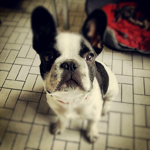 pierre_roth's profile picture. 