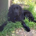 robin patrick - @arobinstweet - Twitter