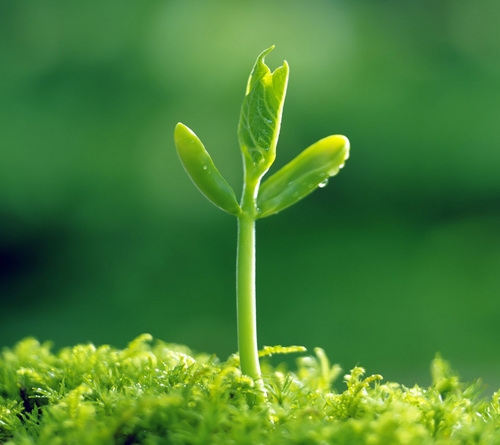 migobong's profile picture. anak.ng.Ama