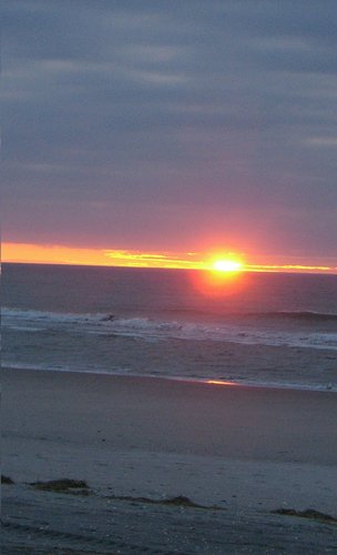 IET® Master-Instructor-Integrated Energy Therapy®
Reiki Master-Instructor, CNHP-Certified Natural Health Practioner, Massage, Jewelry Designer