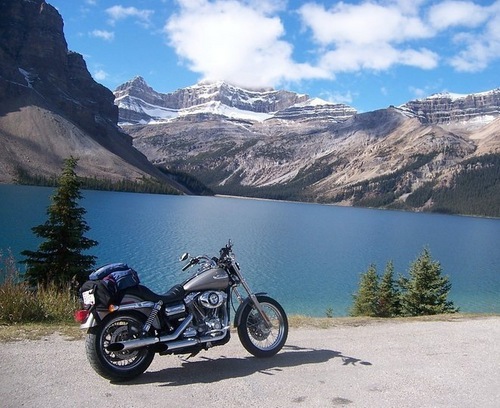 theappetites's profile picture. May all of your Appetites be Healthy!