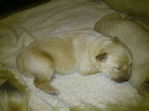 julenmarti1998's profile picture. 