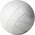 seavball's profile picture. game updates for our peeps