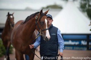 JohnMcConnell5's profile picture. 