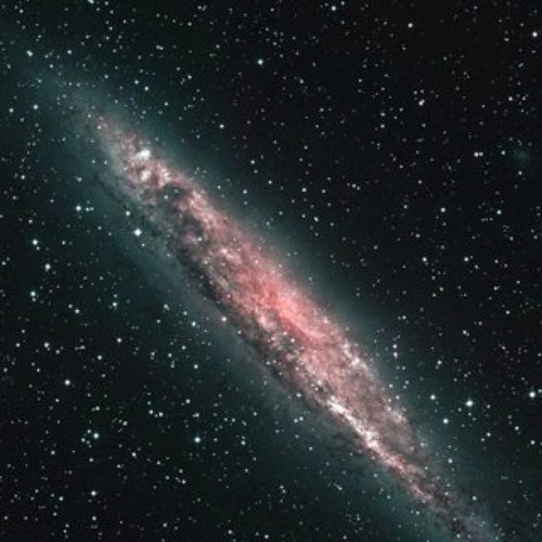 hiboumalin's profile picture. 