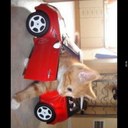 hair blue - @OliviaGerald - Twitter