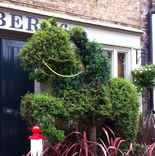 I am a talking topiary horse raising money for Alzheimer's.  Please come and have your photo taken with me during the Olympics. 16 St Alfege Passage SE10 9JS