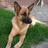 Gert-Jan W (@gertjanwarringa) Twitter profile photo