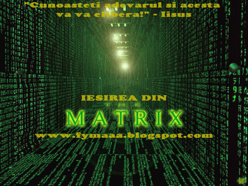 FYMaaaa's profile picture. Eu sunt detinatorul blogului Iesirea Din Matrix.