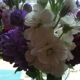 fletch723's profile picture. 