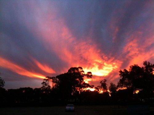 mrslbright's profile picture. Living life with joy!