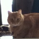 Hope Simmons - @SimmonsHope - Twitter