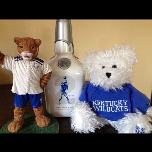 Sparkycats's profile picture. 