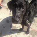 Dexter Greer - @DialADex - Twitter