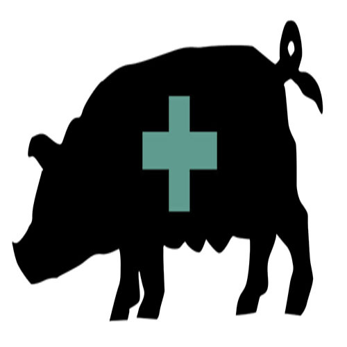 FluJam's profile picture. Sick Music Entertainment Portal