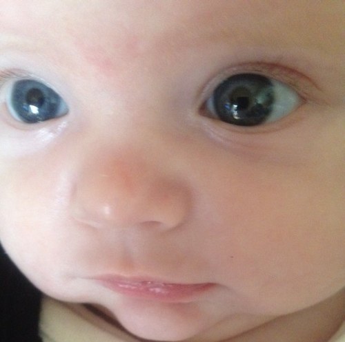 LaurenAmyBarrow's profile picture. 