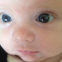 Lolla - @LaurenAmyBarrow - Twitter