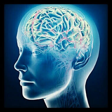 mind2map's profile picture. 