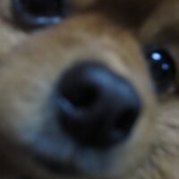 yukinko (@amnos_yukinko) 's Twitter Profile
