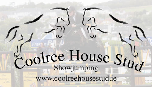 Show jumper, Breeder, Sales Agent,Equestrian Consultant, Past Chairman of ShowjumpingIreland