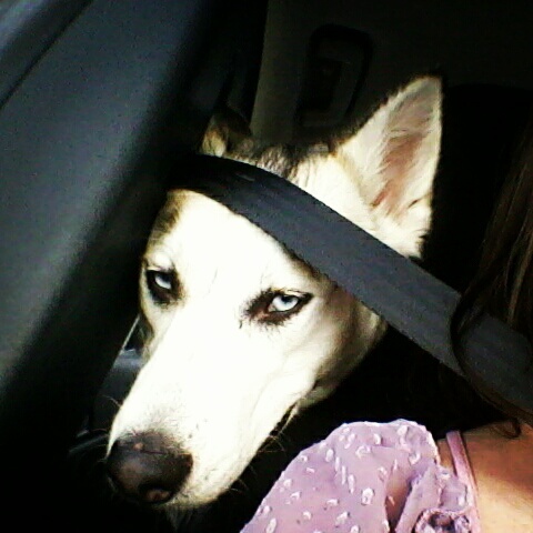 rememberunity's profile picture. 